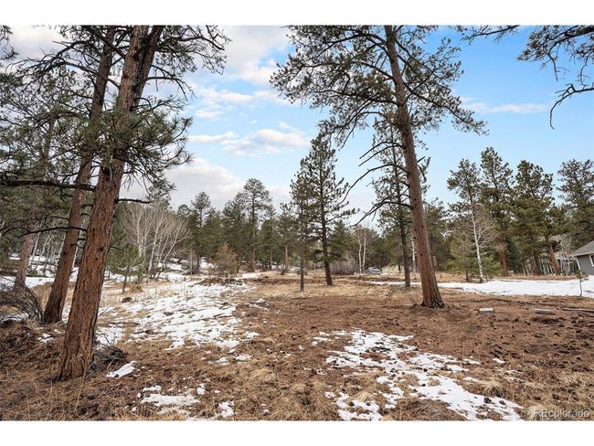 12362 S Polly Dr, Home with 0 bedrooms, 0 bathrooms and null parking in Pine CO | Image 8
