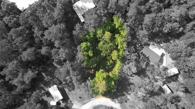 0 Oakwood Ln, Home with 0 bedrooms, 0 bathrooms and null parking in Trinity TX | Image 22