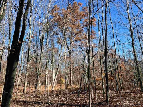 VL W Baker Road, Edenville Township, MI, 48657 | Card Image