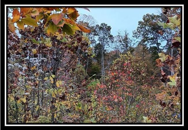 TRACT-1 - 34482 Huston Rd, Home with 0 bedrooms, 0 bathrooms and null parking in Radcliff OH | Image 17