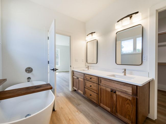 1168 Paper Birch-24 | Image 25