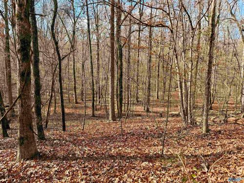 504549-3 County Road 137, Cedar Bluff, AL, 35959 | Card Image