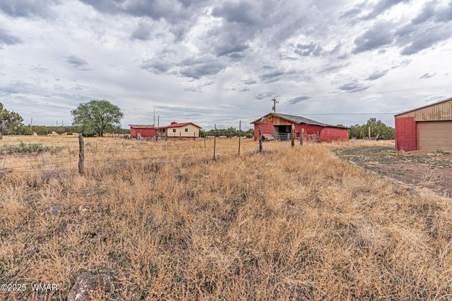 _DSC4235-HDR-Edit | Image 4