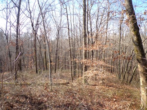 0 Deer Grass Ln, Hurricane Mills, TN, 37078 | Card Image