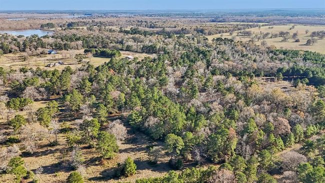 0 Bay Tree St, Home with 0 bedrooms, 0 bathrooms and null parking in Trinity TX | Image 6
