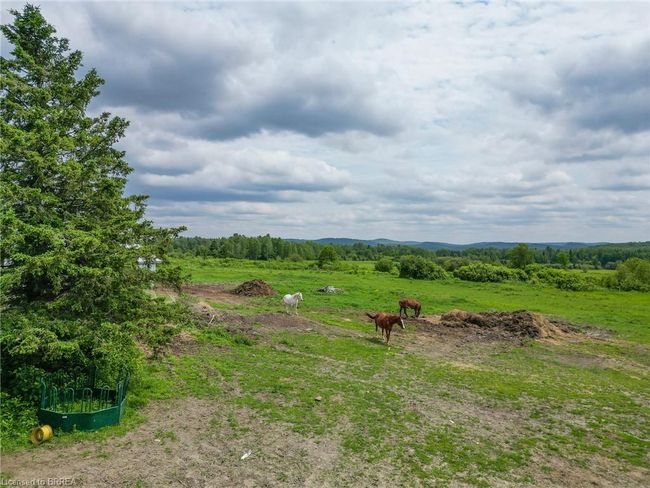 564 Adams Rd, House other with 3 bedrooms, 1 bathrooms and 17 parking in Mattawa ON | Image 13