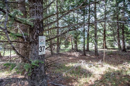 Lot 37 Sun West Ranch Rd, Cameron, MT, 59720 | Card Image