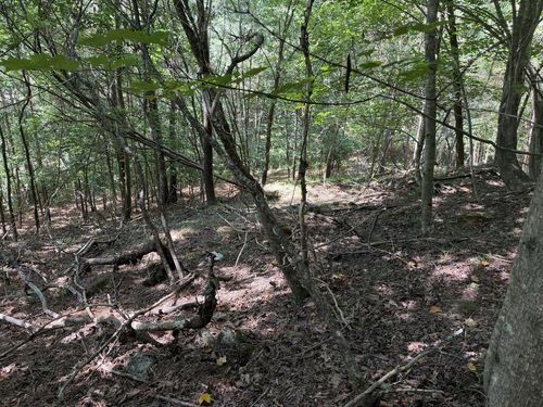 Lot 25 The Hills At Queens Gap, Blairsville, GA, 30512 | Card Image