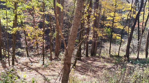 16 Lakeview Dr, Smithville, TN, 37166 | Card Image