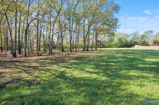 1239 Scott Rd, Home with 0 bedrooms, 0 bathrooms and null parking in Hazel Green AL | Image 21