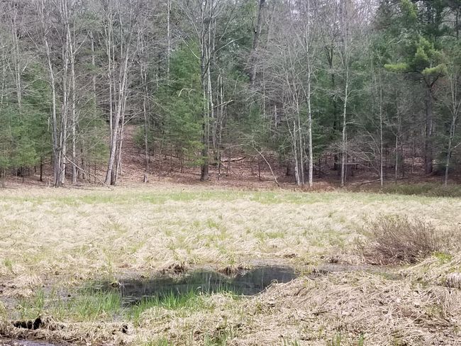 15 W 12 Mile Rd, Home with 0 bedrooms, 0 bathrooms and null parking in Irons MI | Image 5