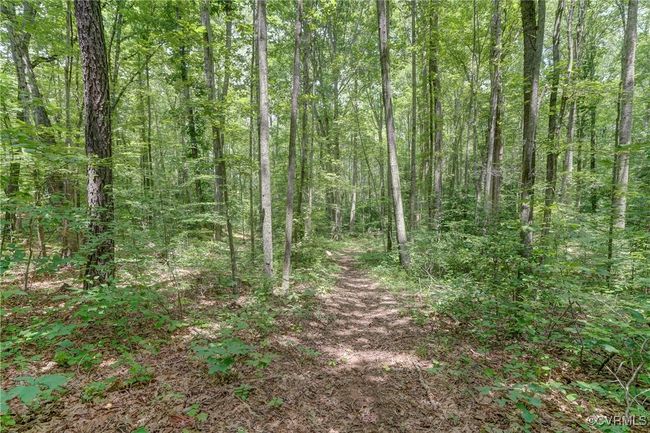 15368 W Fork Dr, House other with 4 bedrooms, 3 bathrooms and null parking in Glen Allen VA | Image 38