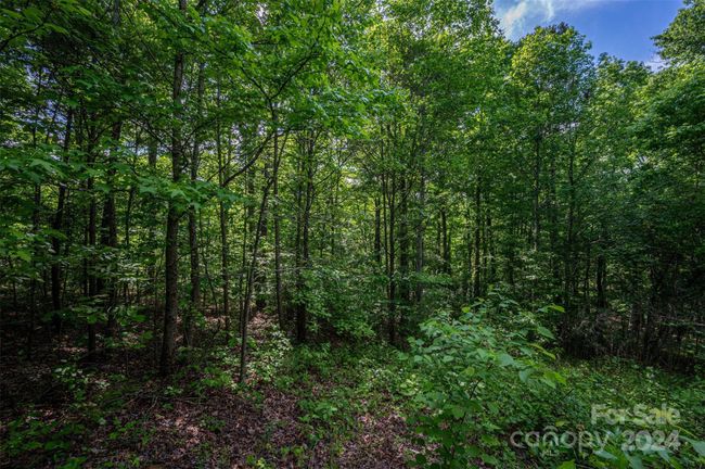 0 Walkaloosa Way, Home with 0 bedrooms, 0 bathrooms and null parking in Mooresboro NC | Image 18