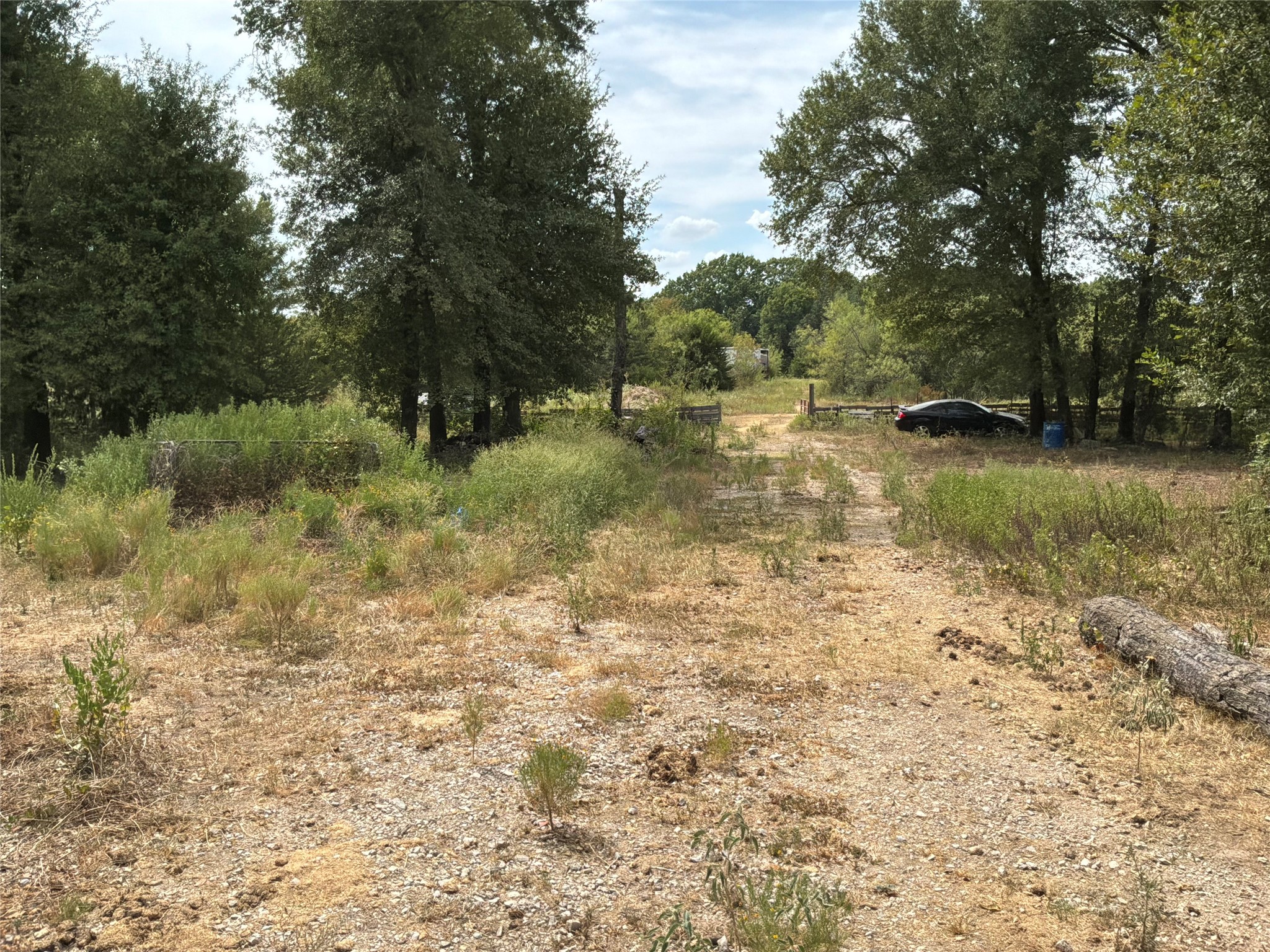 Land in Corsicana 5