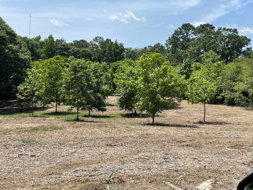 1021 County Road 1242, Vinemont, AL, 35179-8303 | Card Image