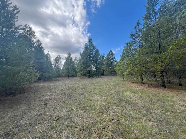 892 W Telephone Rd, Home with 0 bedrooms, 0 bathrooms and null parking in Newport WA | Image 7