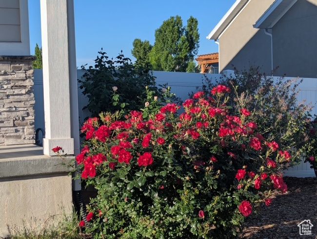 View of yard | Image 28