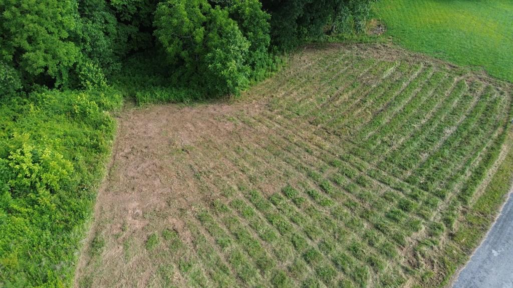 Land in Smithville 2