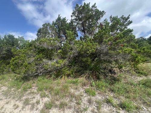 268 Scenic Hills Dr, Canyon Lake, TX, 78133-6926 | Card Image