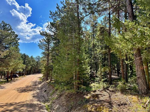 312 Ridge Rd, Ward, CO, 80481-9519 | Card Image