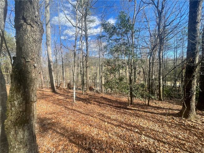 00 Academy Rd, Home with 0 bedrooms, 0 bathrooms and null parking in Mountain Rest SC | Image 28