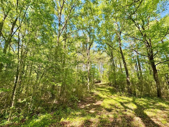 0 Ga Highway 87, Home with 0 bedrooms, 0 bathrooms and null parking in Juliette GA | Image 29