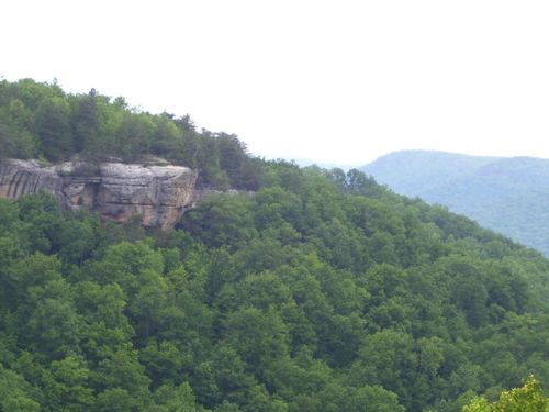 Lot 65 Panther Falls Rd, Wilder, TN, 38589 | Card Image