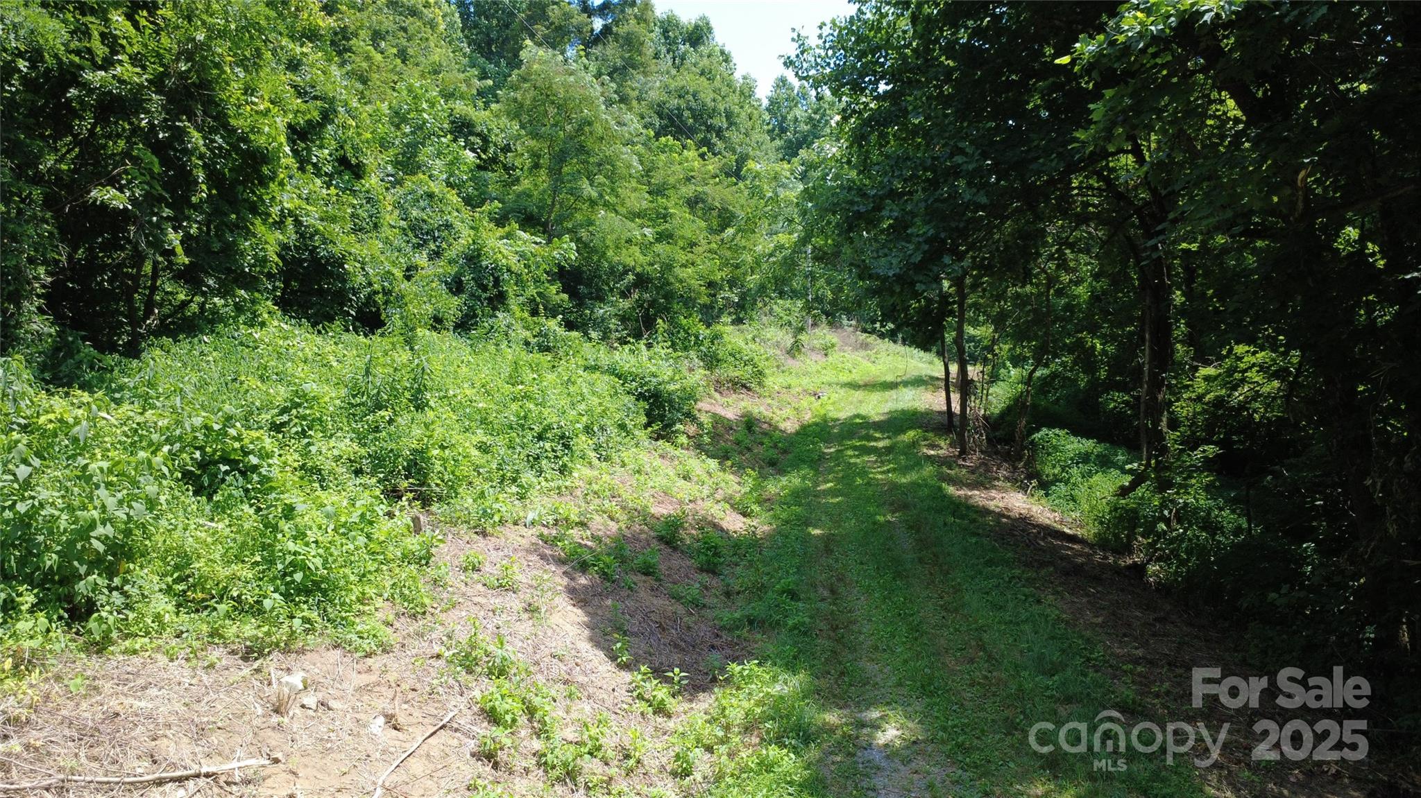 Land in Morganton 3