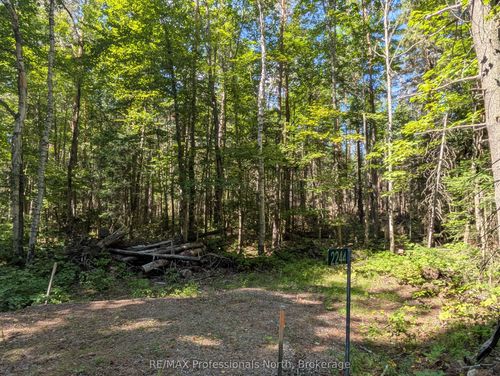 2244 Yearley Rd, Sprucedale, ON, P0A1Y0 | Card Image
