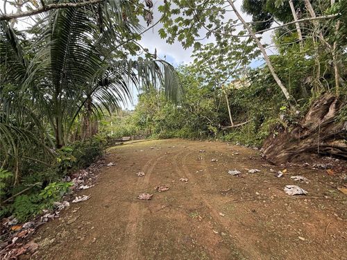 lot-8-835 Km 5.4 Int, . Lot 8 Mamey Wd, Guaynabo, PR, 00969 | Card Image