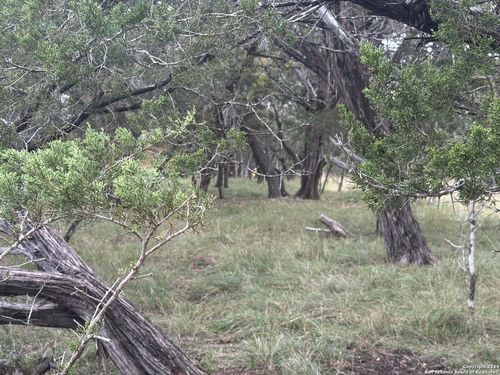 LOTS 1-3 Indian Trail, Pipe Creek, TX, 78063 | Card Image