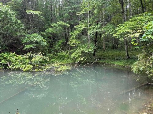 TBD Black Mountain Rd, Hartford, TN, 37753 | Card Image