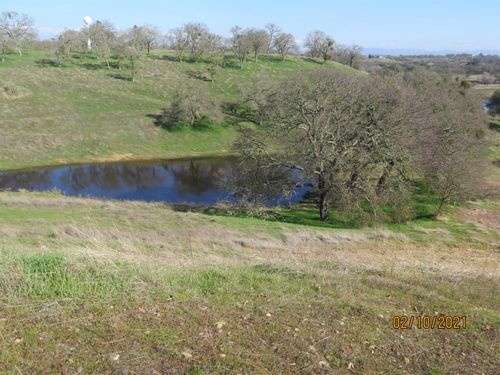 79 Cormorant Dr, Wallace, CA, 95254-7205 | Card Image