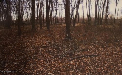 Lot 70 (Gravel) Blue Gill Road, Vicksburg, MS, 39183 | Card Image