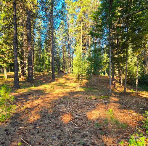 TBD Sorrel Dr, New Meadows, ID, 83654 | Card Image