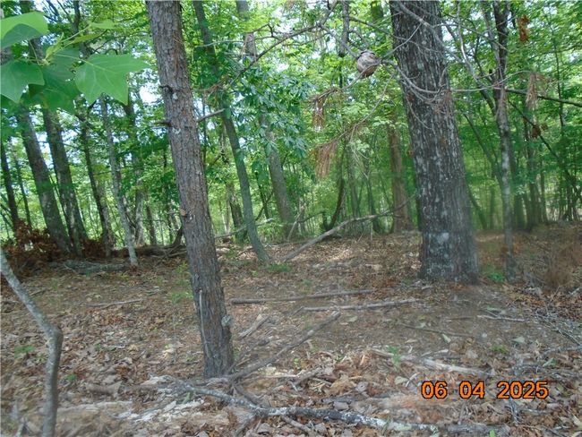 1000 E Cedar Creek Rd, Home with 0 bedrooms, 0 bathrooms and null parking in Sunset SC | Image 6