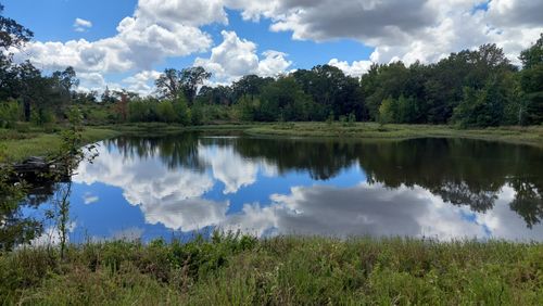 Tbd Farm Road 195, Bagwell, TX, 75412 | Card Image