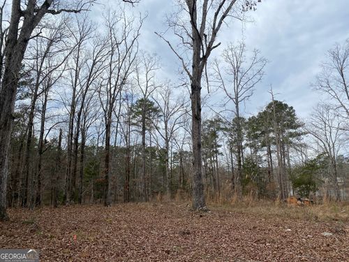 0 Paradise St, Lincolnton, GA, 30817 | Card Image