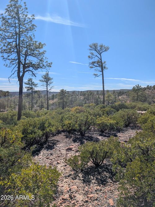 435-958 Navajo Trail, Show Low, AZ, 85901 | Card Image