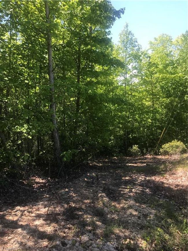 19 Rose Briar Rd, Home with 0 bedrooms, 0 bathrooms and null parking in Boomer NC | Image 19
