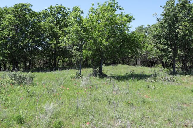 20 N Carroll St, Home with 0 bedrooms, 0 bathrooms and null parking in Henrietta TX | Image 17