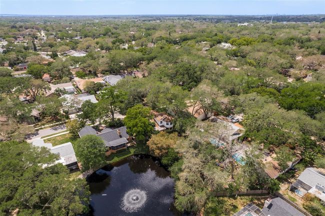 59 Crane Dr, House other with 3 bedrooms, 3 bathrooms and null parking in SAFETY HARBOR FL | Image 46