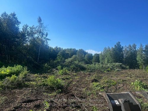 LOT 11 Rue Chatelain Street, Alfred and Plantagenet, ON, K0B1A0 | Card Image