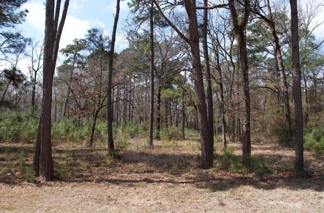 4345 Fm 3188, Home with 0 bedrooms, 0 bathrooms and null parking in Trinity TX | Image 7