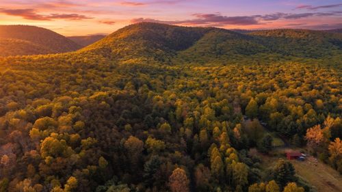 161 Glover Run, GOSHEN, VA, 24439 | Card Image