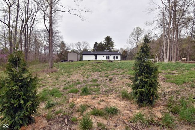 view of yard | Image 5