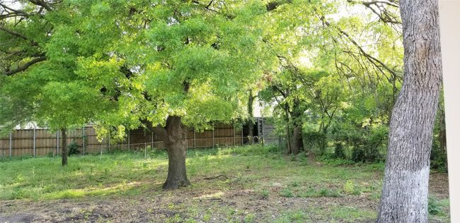 Large spacious, park-like backyard | Image 30