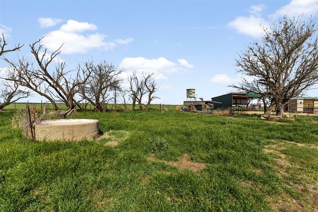 View of yard | Image 28