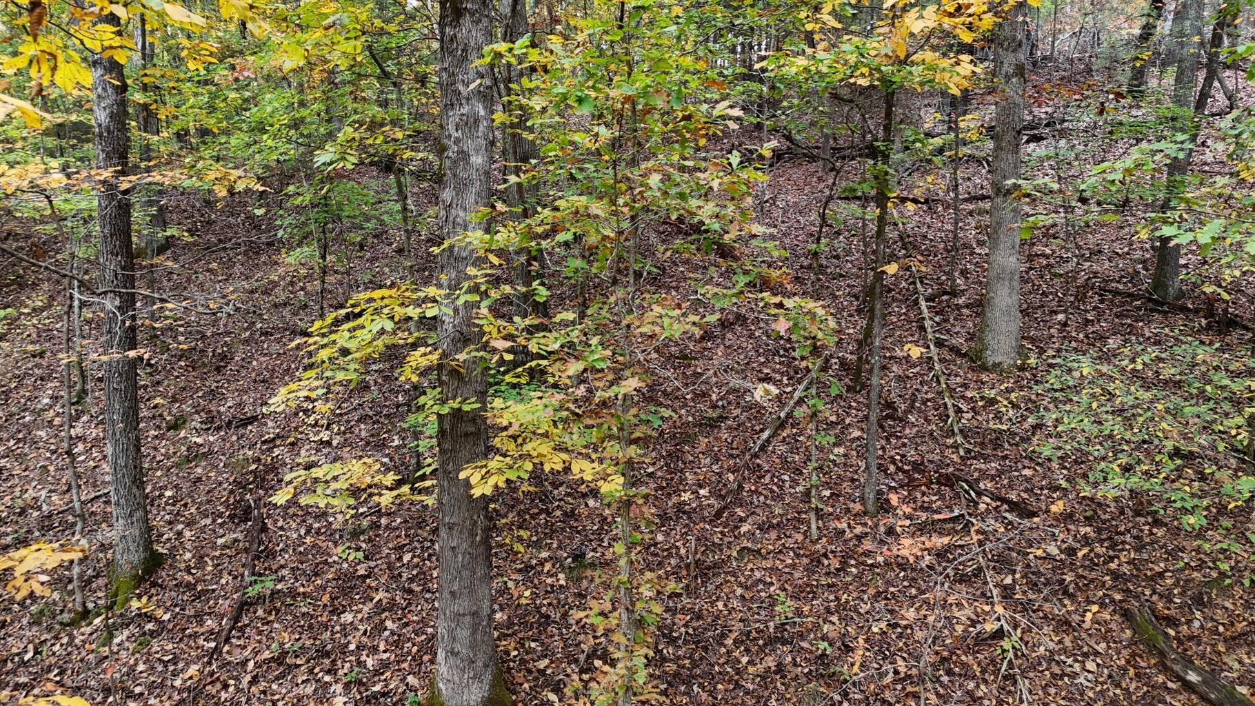 Land in Georgetown