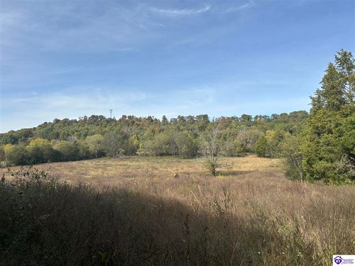 o Knobs Rd, Smiths Grove, KY, 42171 | Card Image